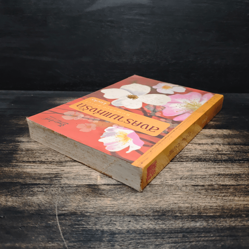 สงครามแห่งรัก - Lucky