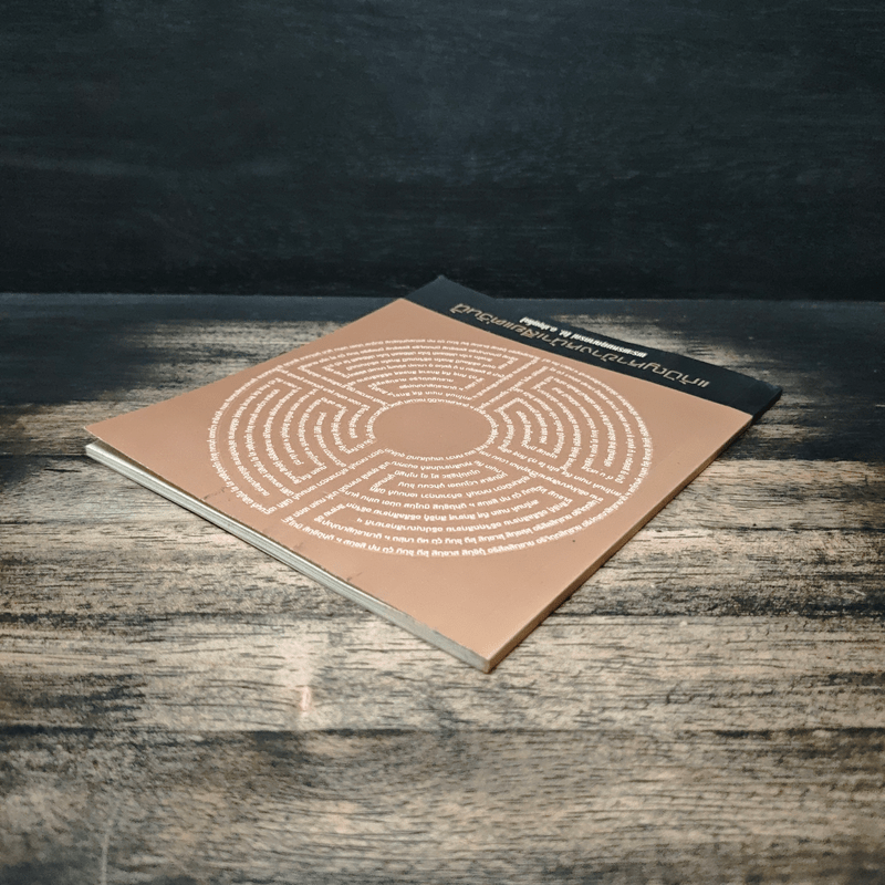 แก้ปัญหาข้างหน้าเสียแต่วันนี้ - พระพรหมคุณาภรณ์ (ป.อ.ปยุตฺโต)