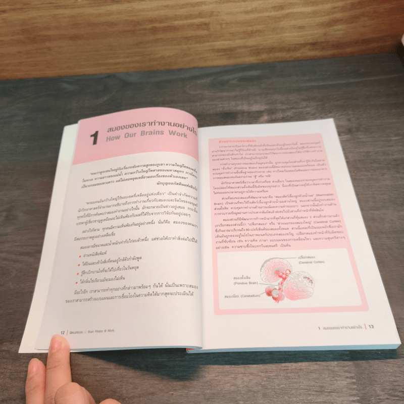 Brain Fitness @ Work ฟิตเนสสมอง - Judith Jewell
