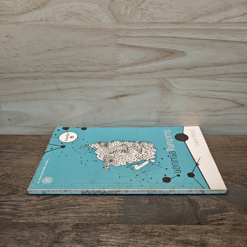 นอกเหนือจินตนาการ - ไพฑูรย์ ธัญญา