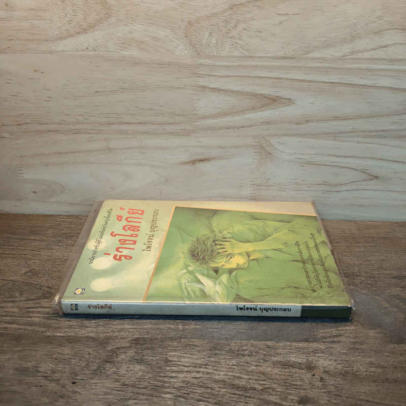 ร่างโลกีย์ - ไพโรจน์ บุญประกอบ