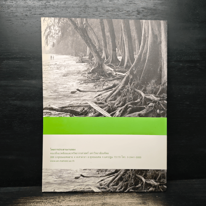 การเปลี่ยนแปลงของป่าธรรมชาติหลังสึนามิ