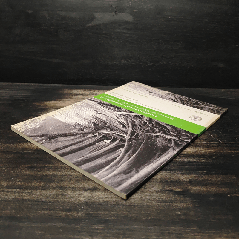 การเปลี่ยนแปลงของป่าธรรมชาติหลังสึนามิ