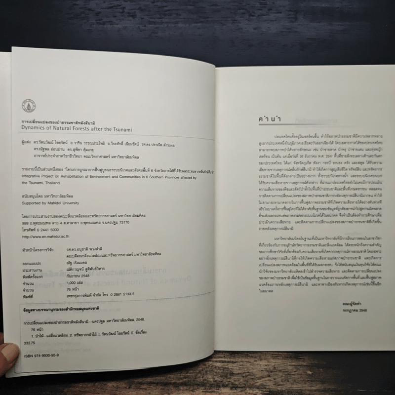 การเปลี่ยนแปลงของป่าธรรมชาติหลังสึนามิ