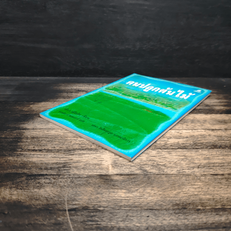 คนปลูกต้นไม้ - ฌ็อง ฌิโอโน