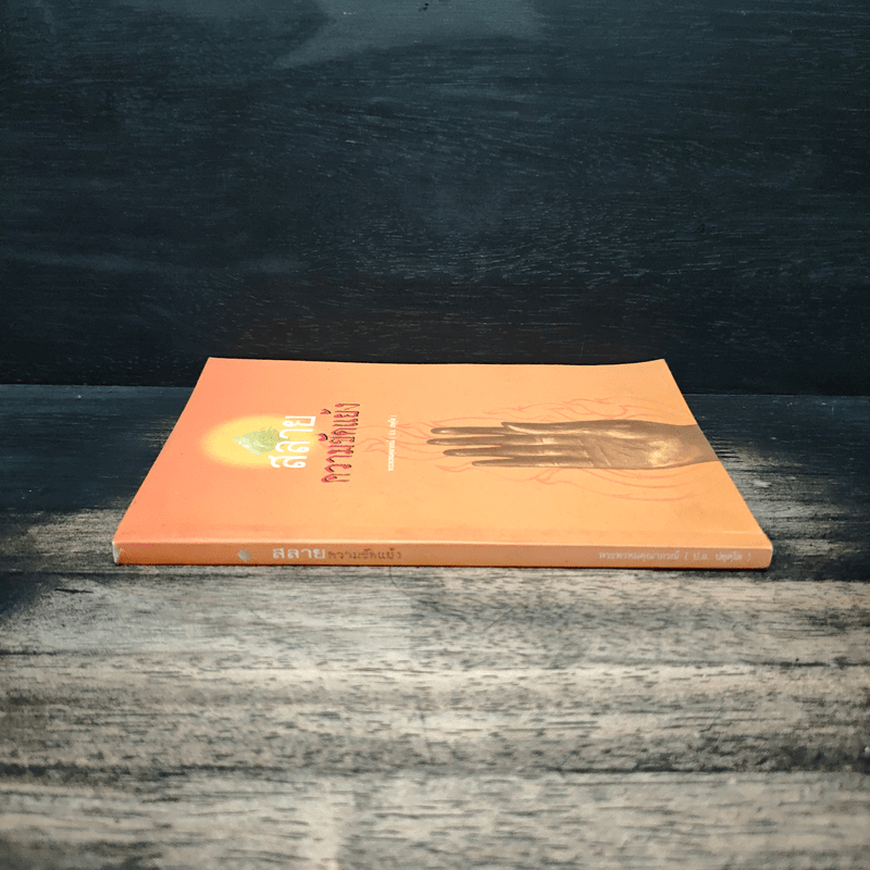 สลายความขัดแย้ง - พระพรหมคุณาภรณ์ (ป.อ.ปยุตโต)