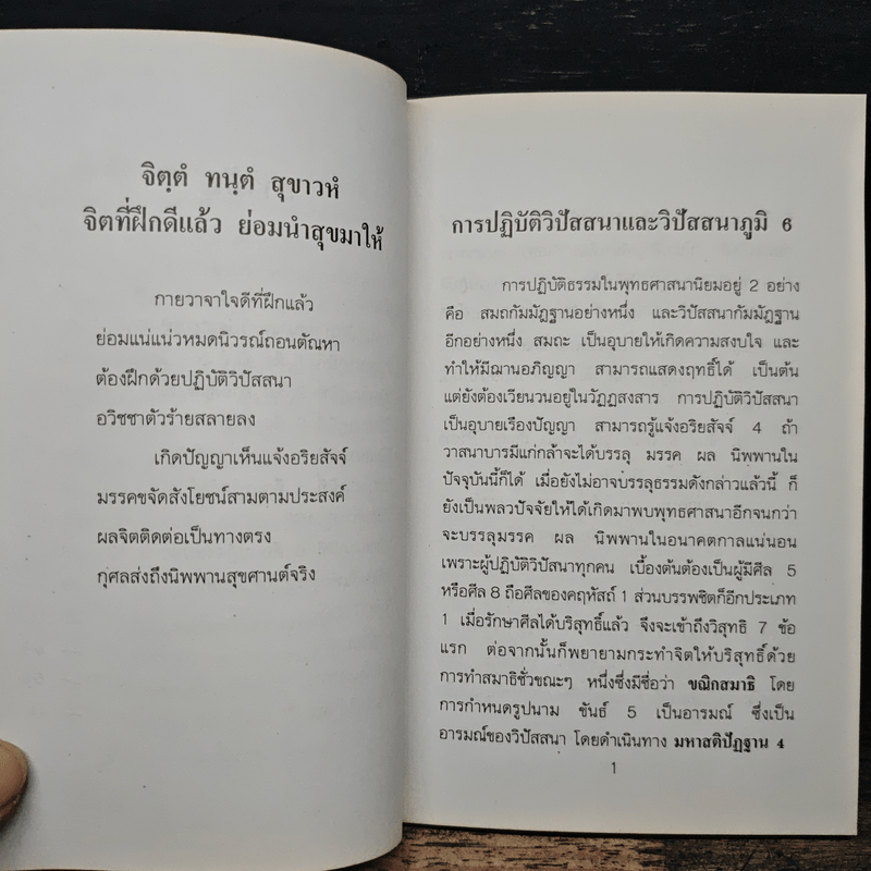 วิปัสนาภูมิ คู่มือแนะแนวปัสสนาภูมิเพื่อปฎิบัติ - เจริญ สุวรรณ