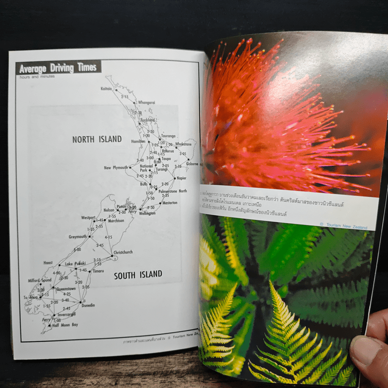 คู่มือนักเดินทาง นิวซีแลนด์