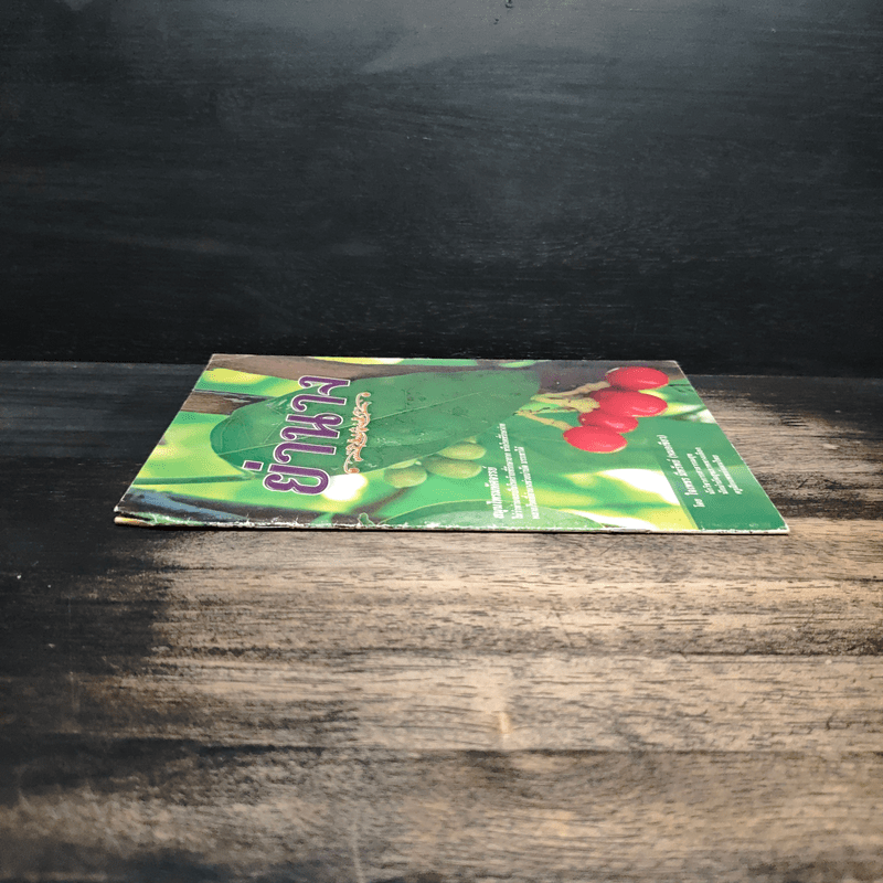 ย่านาง สมุนไพรมหัศจรรย์ - ใจเพชร มีทรัพย์ (หมอเขียว)