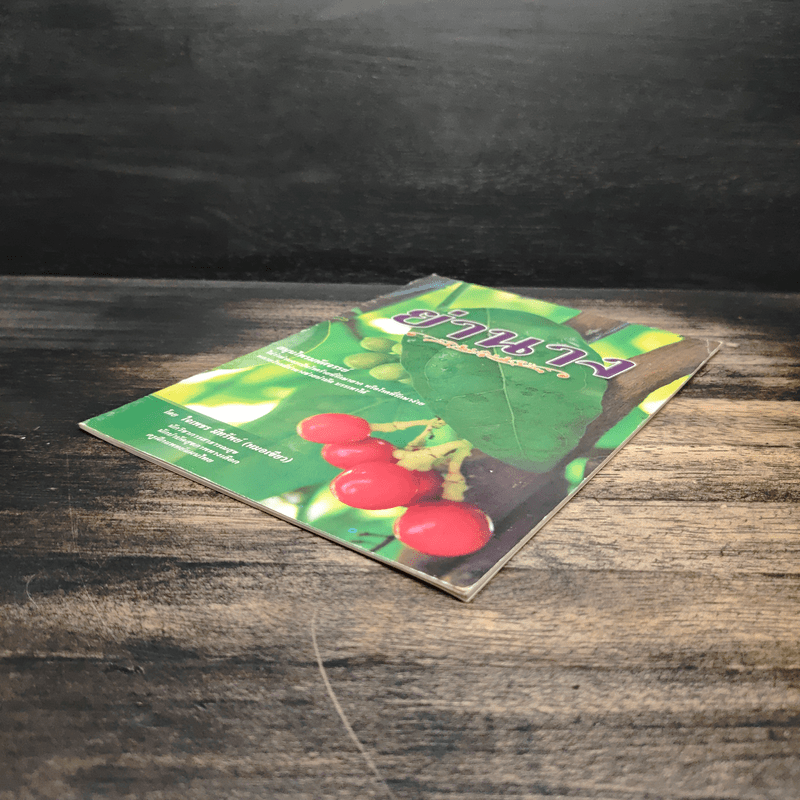 ย่านาง สมุนไพรมหัศจรรย์ - ใจเพชร มีทรัพย์ (หมอเขียว)