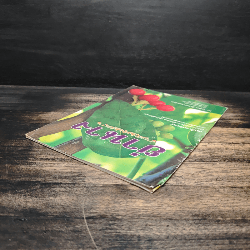 ย่านาง สมุนไพรมหัศจรรย์ - ใจเพชร มีทรัพย์ (หมอเขียว)