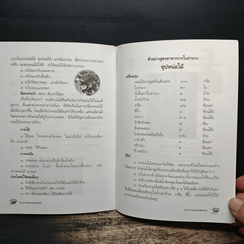 ย่านาง สมุนไพรมหัศจรรย์ - ใจเพชร มีทรัพย์ (หมอเขียว)