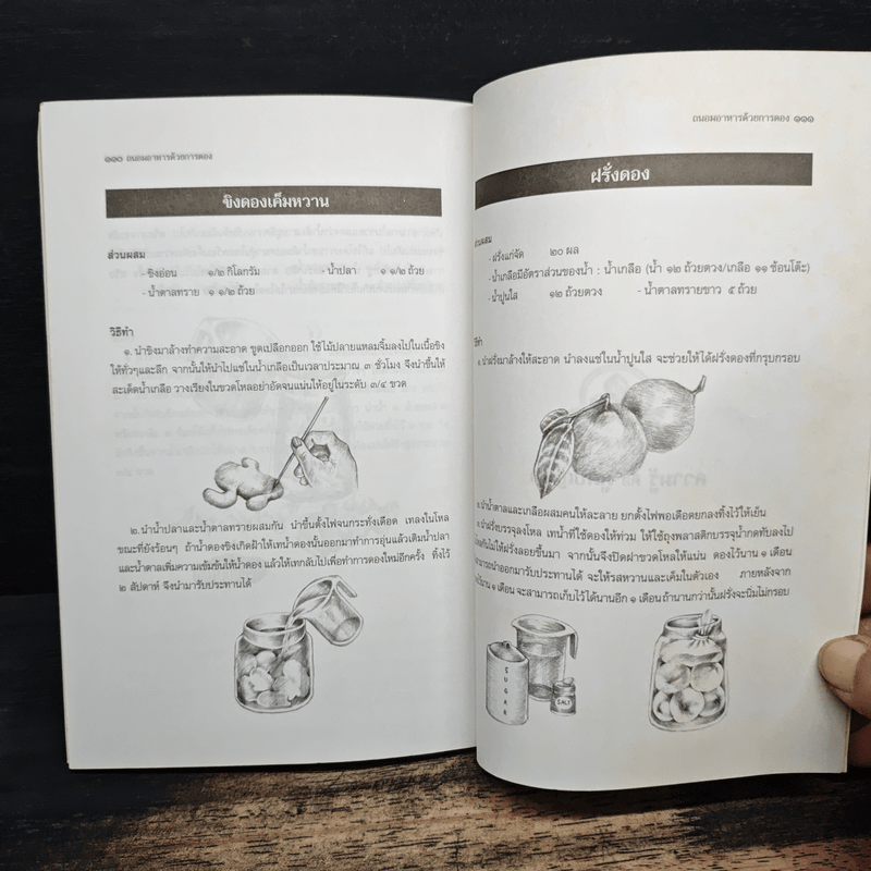 ถนอมอาหารด้วยการดอง - กระยาทิพย์ เรือนใจ