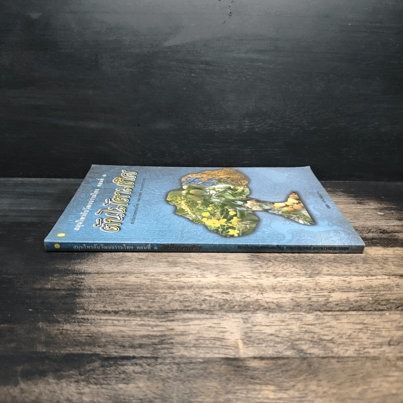 สมุนไพรกับวัฒนธรรมไทย ตอนที่ 1 ต้นไม้ตามทิศ