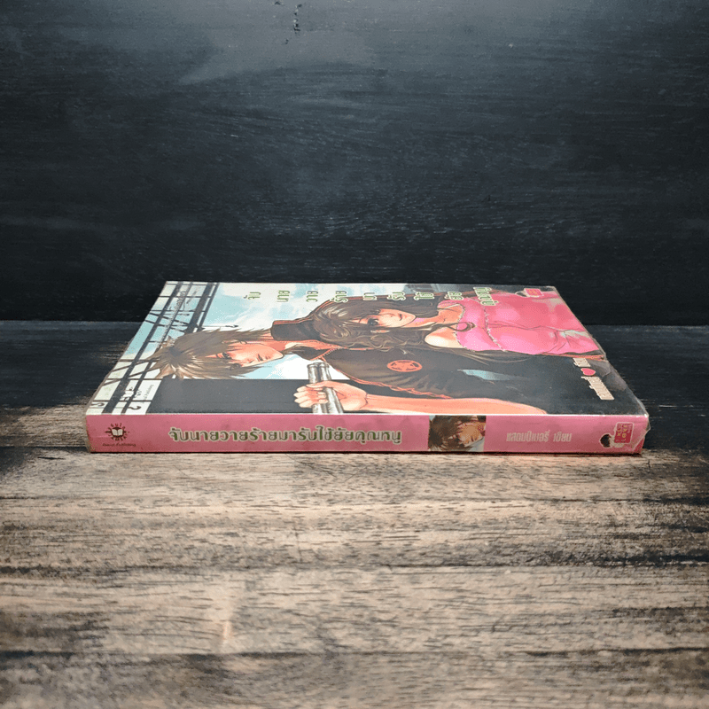 จับนายวายร้ายมารับใช้ยัยคุณหนู - แสตมป์เบอรี่