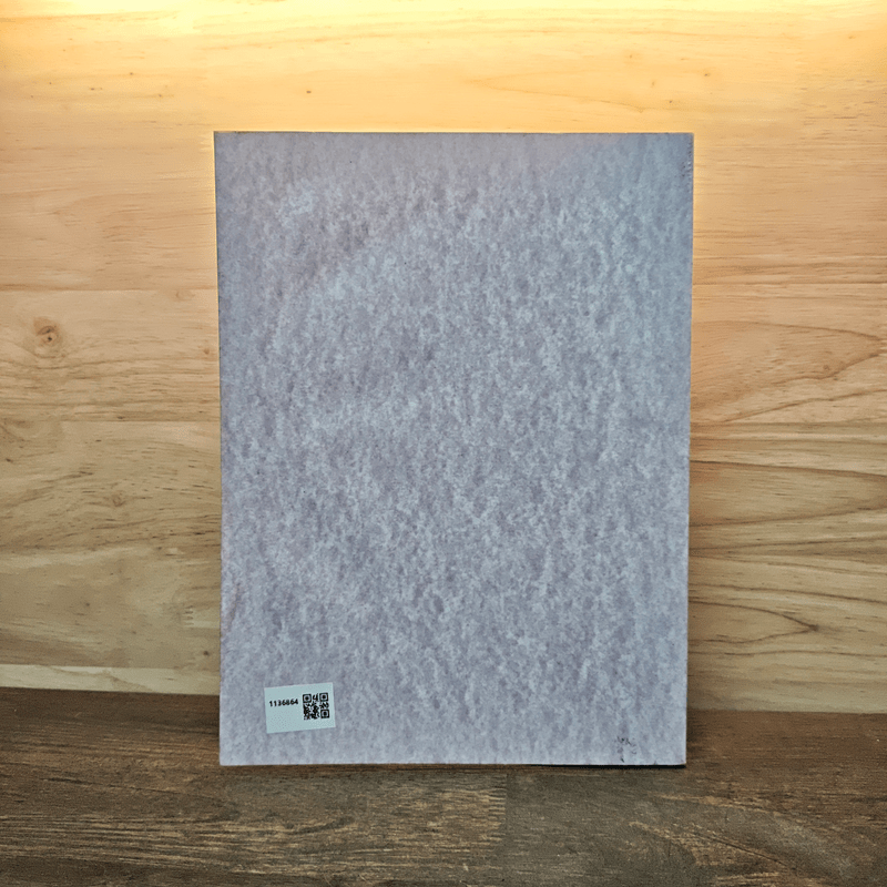 บรรพชีวินวิทยาทั่วไป General Palaeontology