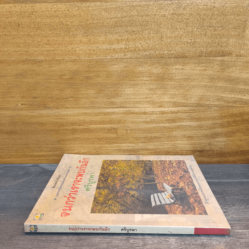 จนกว่าเราจะพบกันอีก - ศรีบูรพา