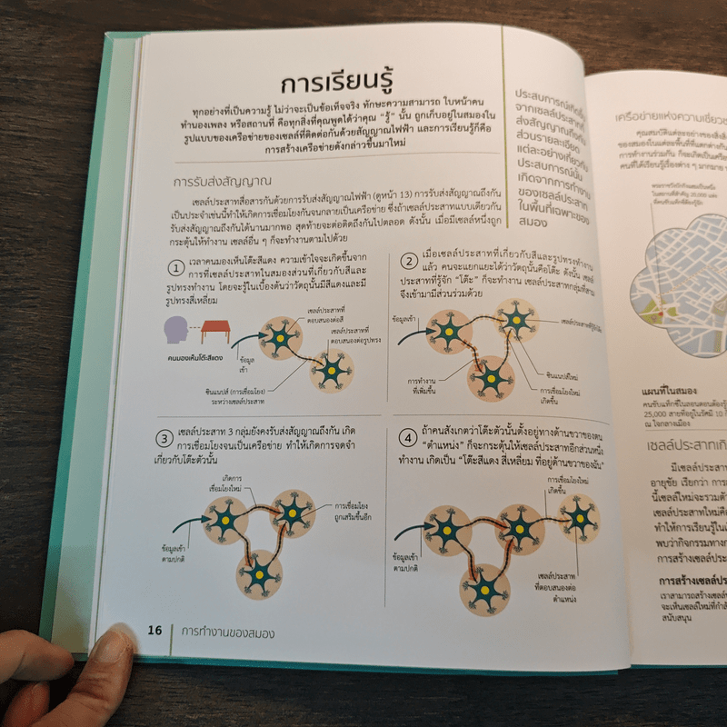 The Brain Fitness Book โจทย์และกิจกรรมลับคมความคิด เพื่อสมองที่เฉียบคมแคล่วคล่อง ไม่เป็นรองใคร - Rita Carter