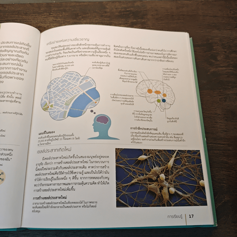 The Brain Fitness Book โจทย์และกิจกรรมลับคมความคิด เพื่อสมองที่เฉียบคมแคล่วคล่อง ไม่เป็นรองใคร - Rita Carter