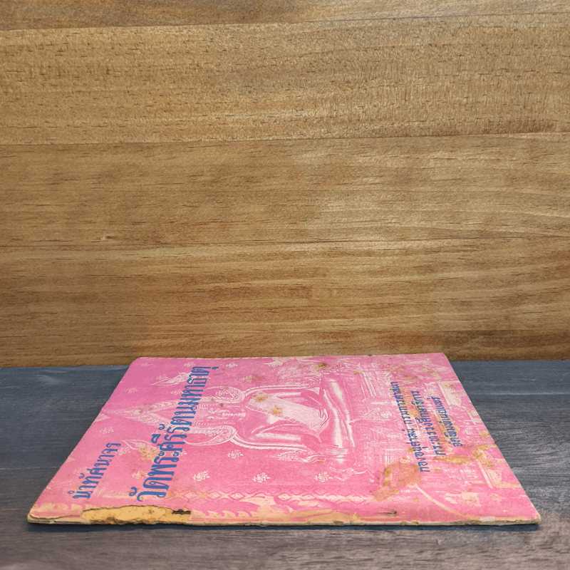 นำทัศนาจร วัดพระศรีรัตนมหาธาตุ