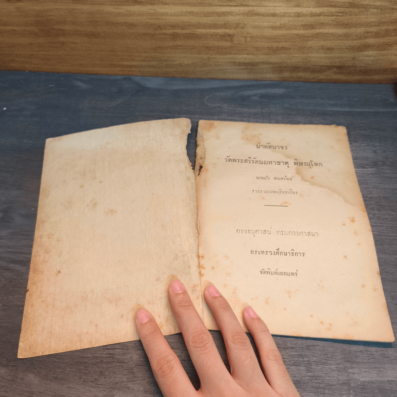 นำทัศนาจร วัดพระศรีรัตนมหาธาตุ