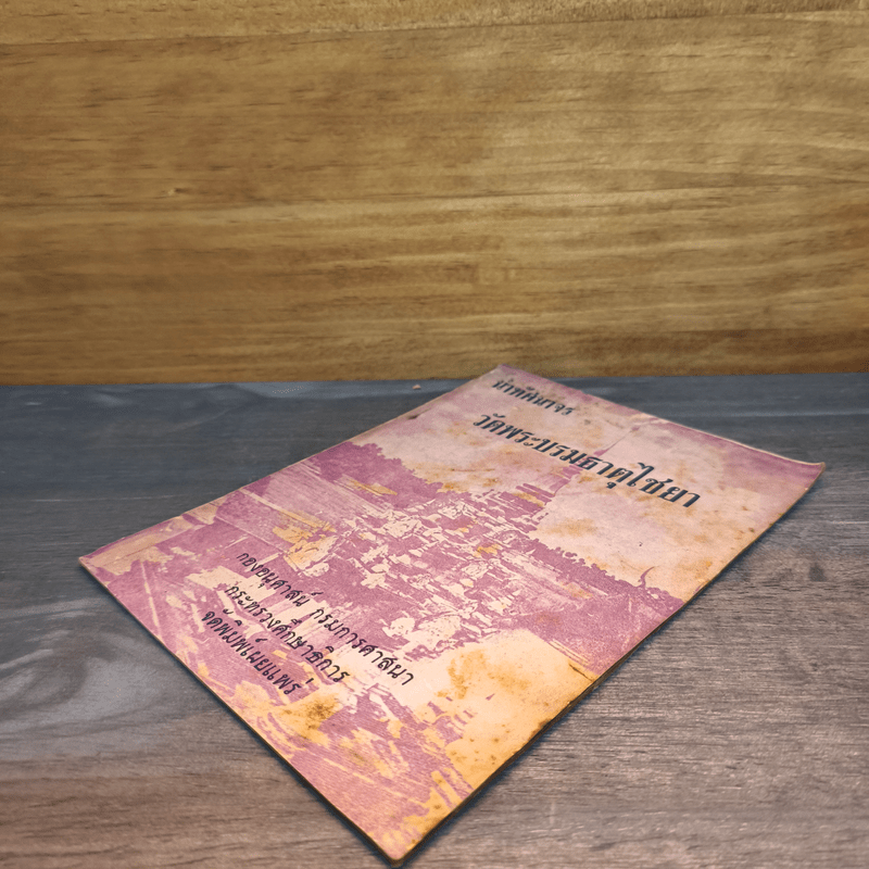 นำทัศนาจร วัดพระบรมธาตุไชยา