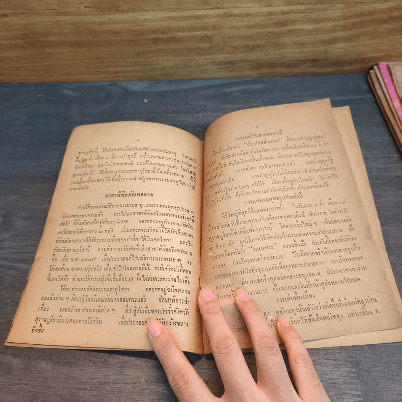 นำทัศนาจร วัดพระบรมธาตุไชยา