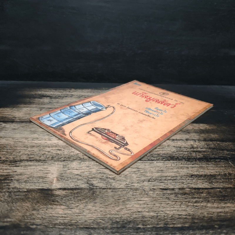 แก๊สมูลสัตว์ คืออะไร ผลิตอย่างไร ใช้อย่างไร