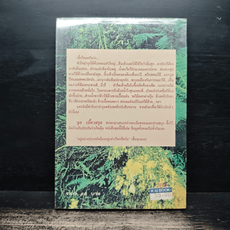 สมุนไพรให้คุณค่า เล่ม 3 - จุก เบี้ยวสกุล