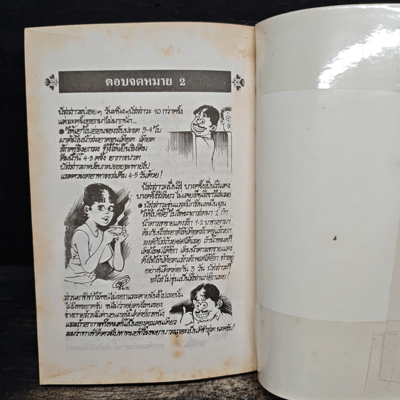 สมุนไพรให้คุณค่า เล่ม 3 - จุก เบี้ยวสกุล