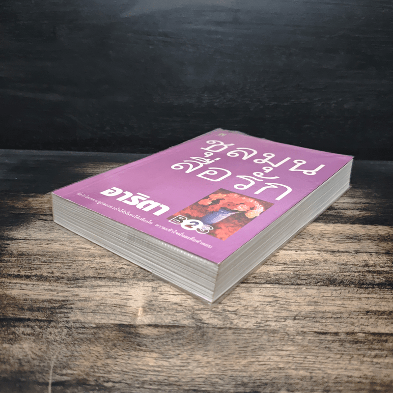 ชุลมุนสื่อรัก - อาริตา