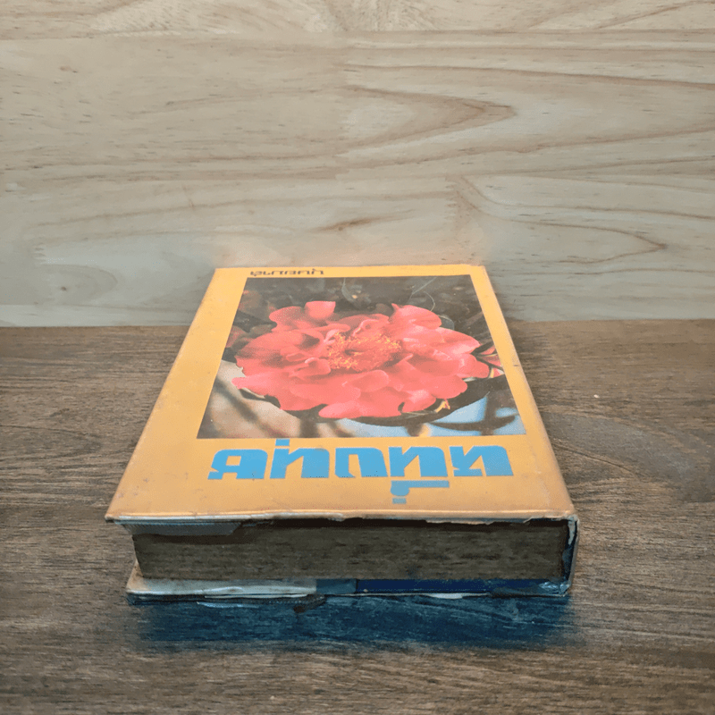 หนึ่งนุช - บุษยมาส