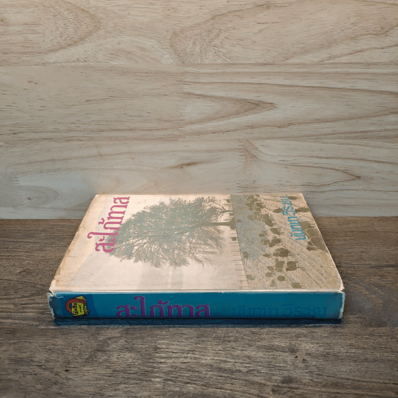 สะใภ้ทาส - นันทนา วีระชน