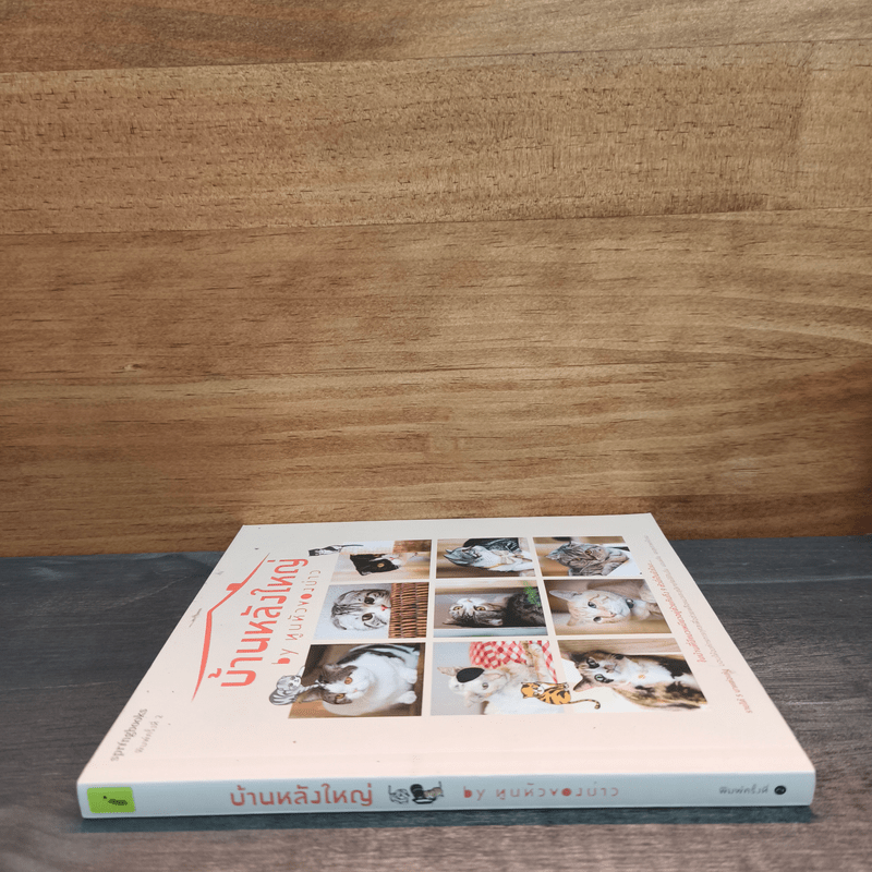 บ้านหลังใหญ่ - ทูนหัวของบ่าว