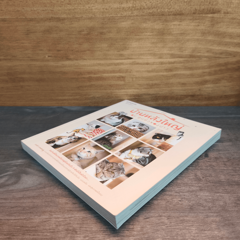 บ้านหลังใหญ่ - ทูนหัวของบ่าว