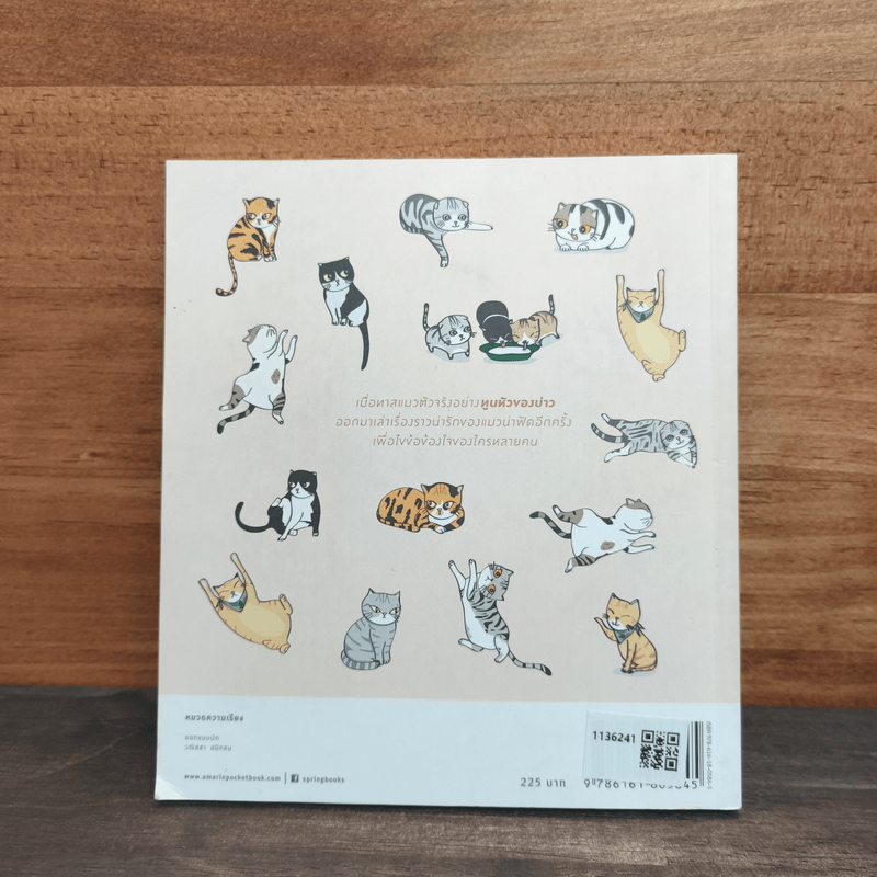 บ้านหลังใหญ่ - ทูนหัวของบ่าว