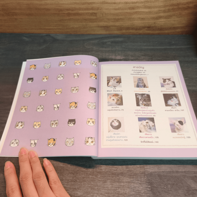 บ้านหลังใหญ่ - ทูนหัวของบ่าว