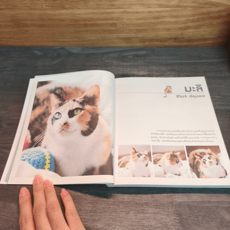 บ้านหลังใหญ่ - ทูนหัวของบ่าว