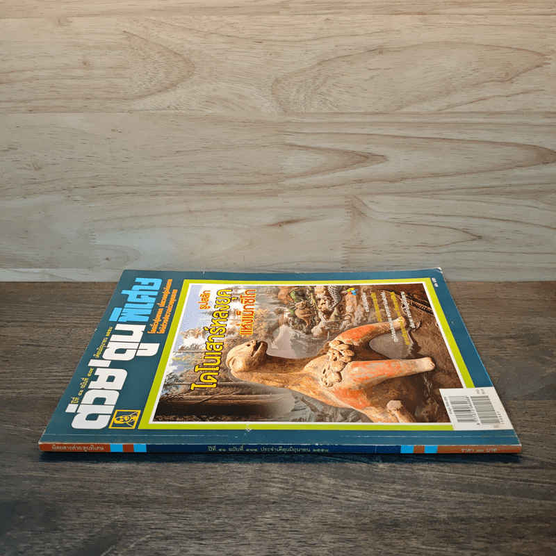 ต่วย'ตูนพิเศษ ปีที่ 41 ฉบับที่ 484 มิ.ย.2558