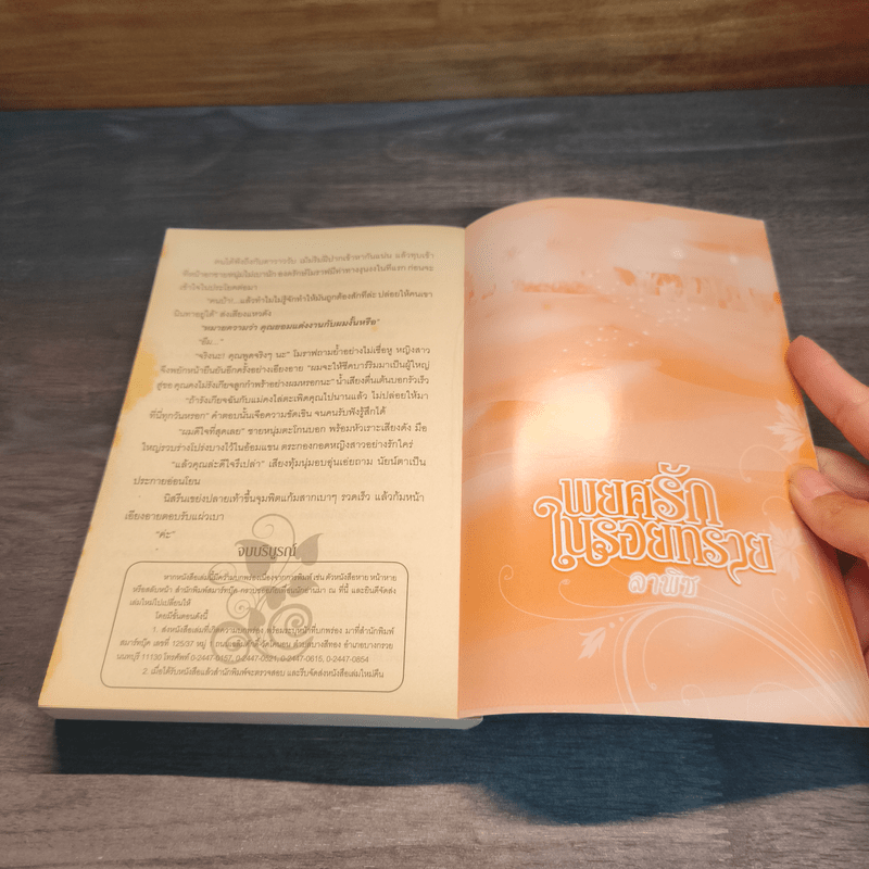 พยศรักในรอยทราย - ลาพิซ