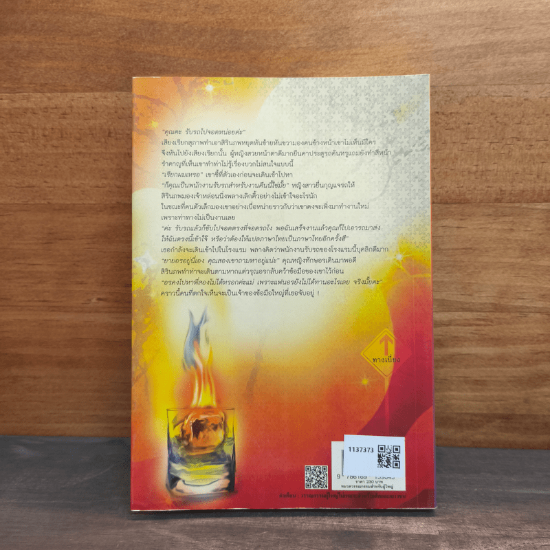 น้ำแข็งซ่อนไฟ - สรัญคุณา