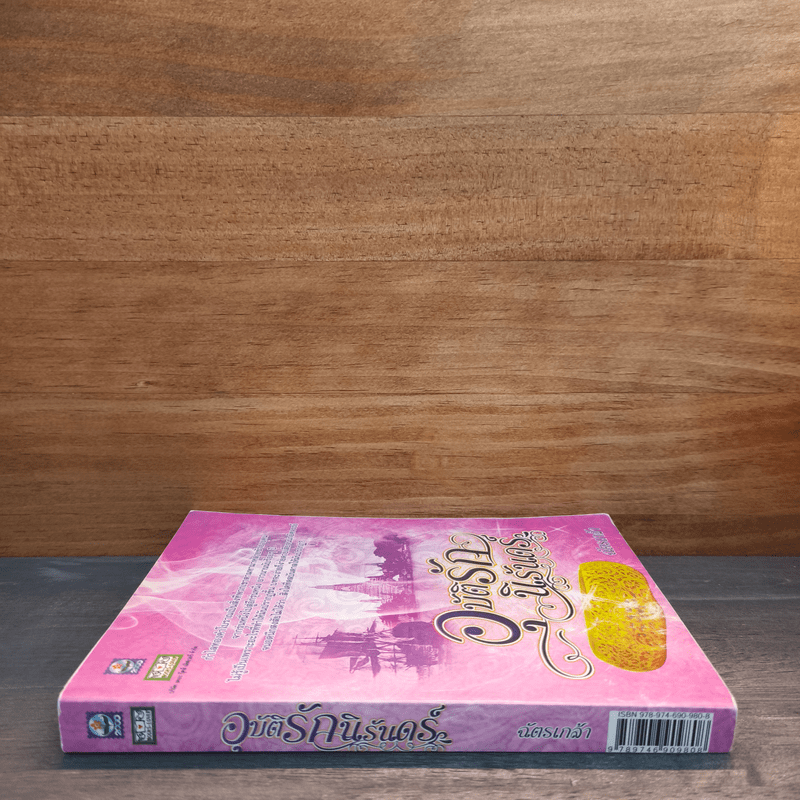 อุบัติรักนิรันดร์ - ฉัตรเกล้า