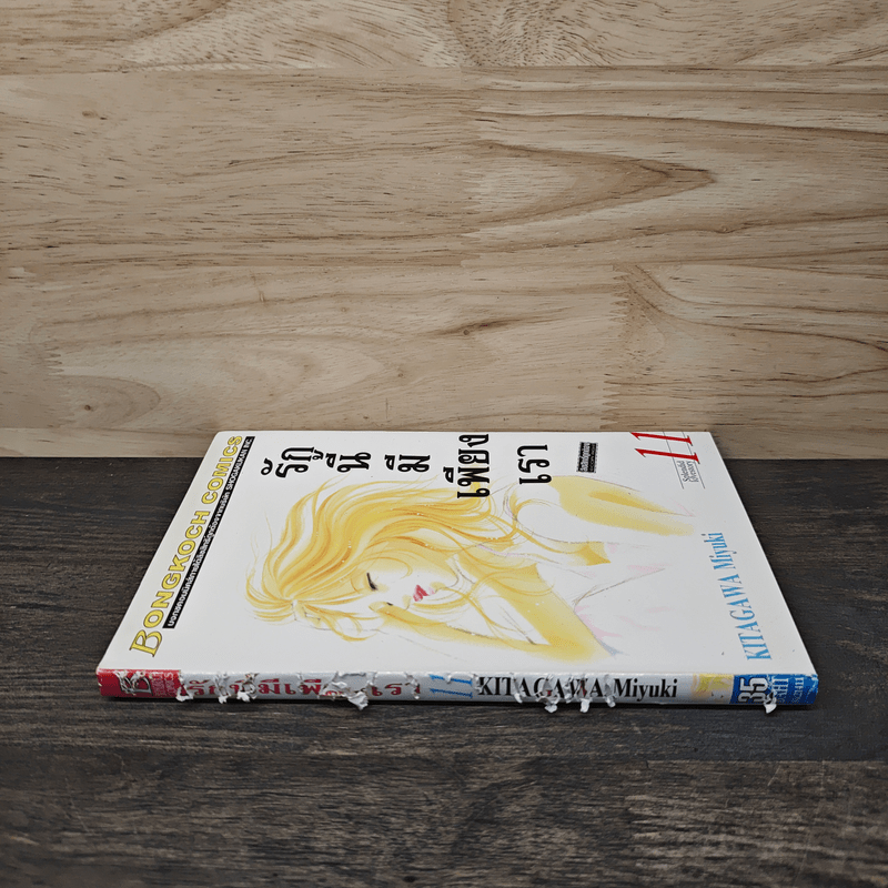 รักนี้มีเพียงเรา เล่ม 11
