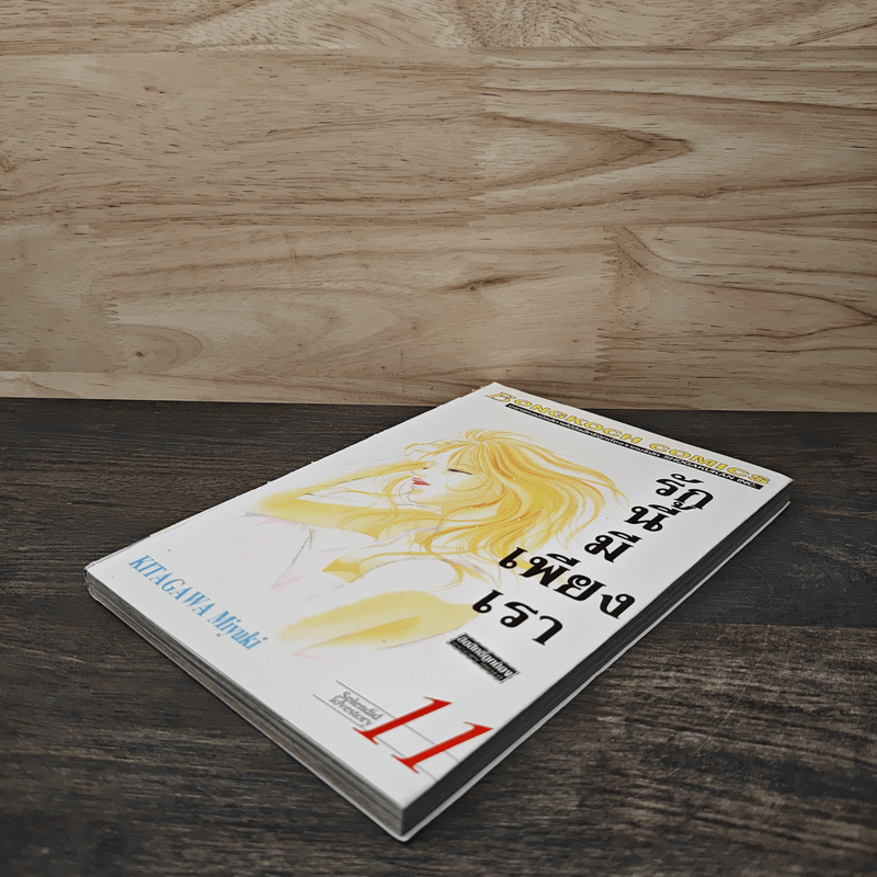 รักนี้มีเพียงเรา เล่ม 11