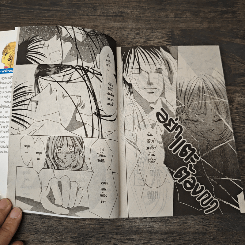 รักนี้มีเพียงเรา เล่ม 11