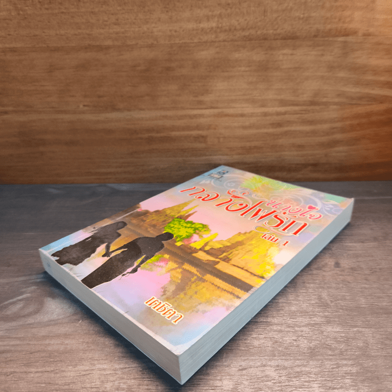 นางใจกลางไฟรัก เล่ม 1 - เตชิตา