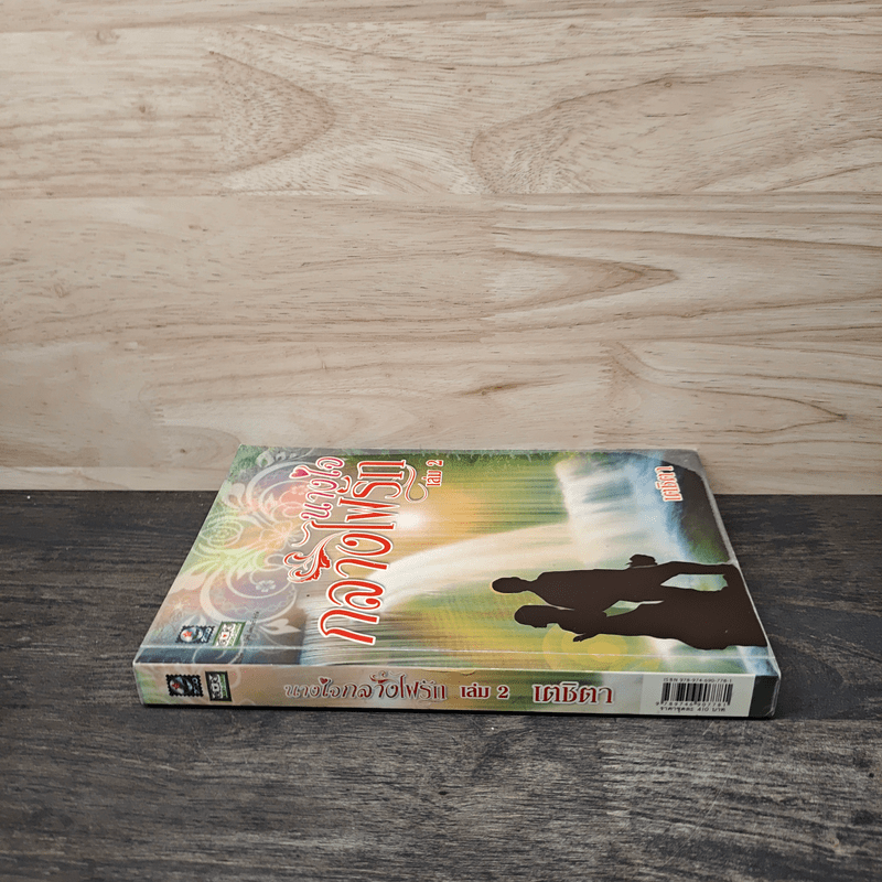 นางใจกลางไฟรัก เล่ม 2 - เตชิตา