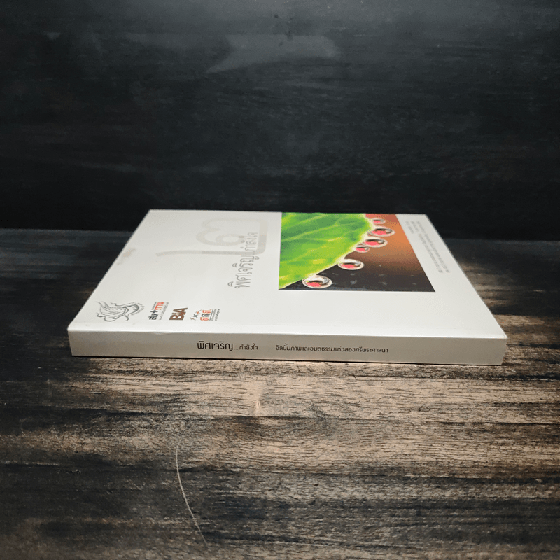 พิศเจริญ กำลังใจ เล่ม 2