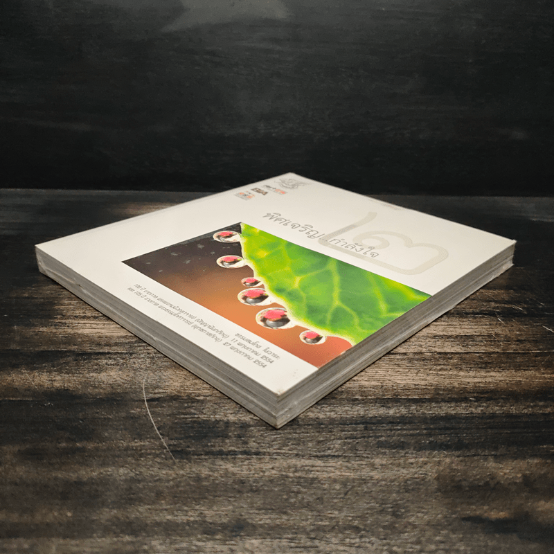 พิศเจริญ กำลังใจ เล่ม 2