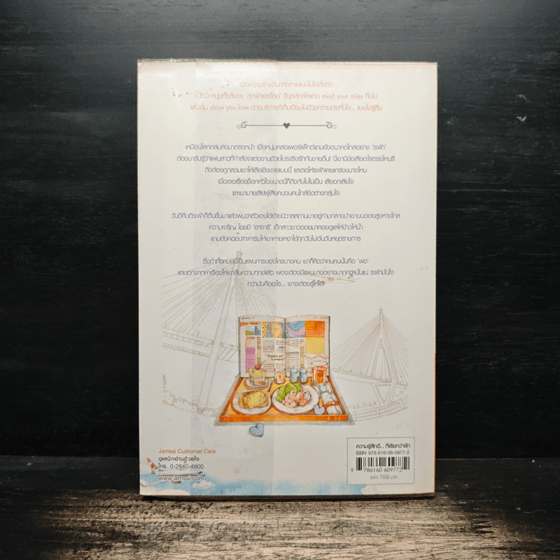 ลิขิตรักลัดฟ้า - ภัสรสา